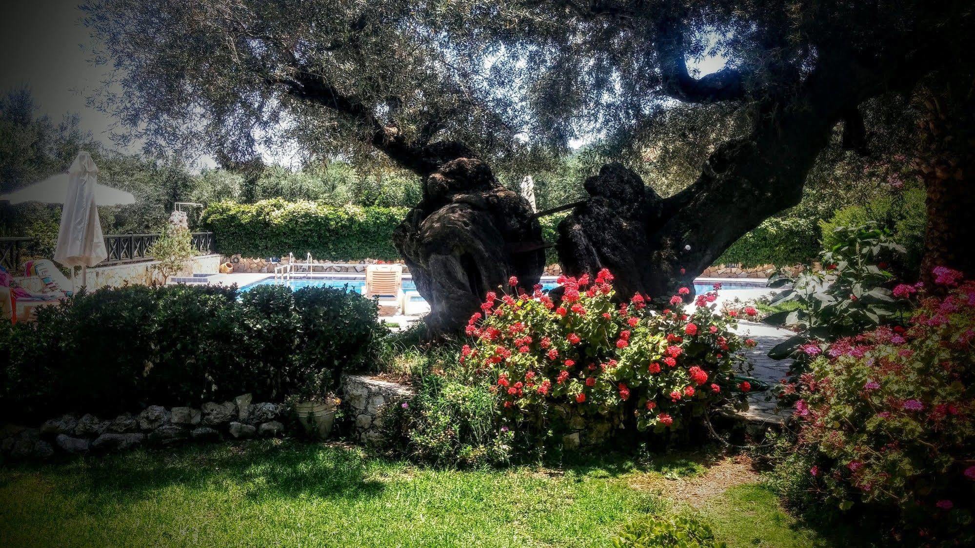 Kyprianos Hotel